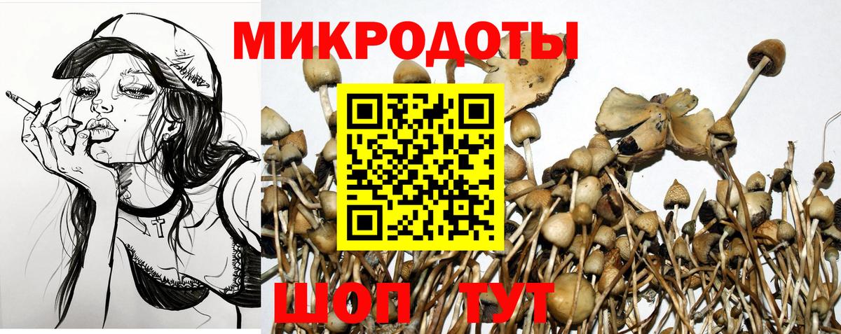 Псилоцибиновые грибы ЛСД  Вход с VPN  Усть-Лабинск  Псилоцибиновые грибы Psilocybine cubensis 